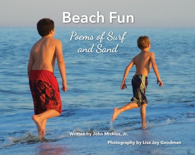 Beach Book cover